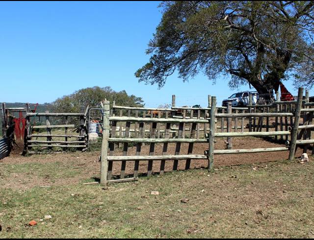 226HA FARM FOR SALE IN KOMGA RURAL